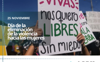 Día Internacional por la eliminación de la violencia hacia las mujeres