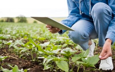 Día del Ingeniero y la Ingeniera Agrónoma
